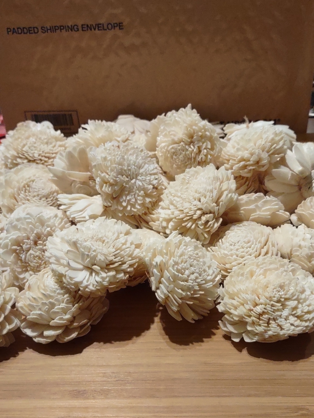 Cream Sola Wood Zinnias Flowers 40 Ct